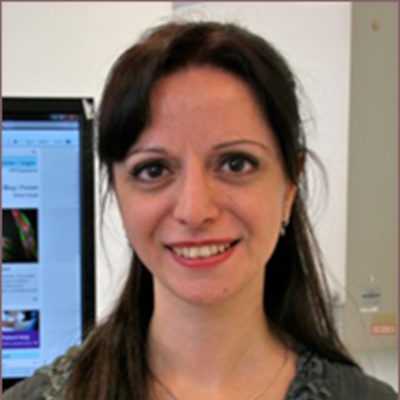Dr Zehra Yilmaz PhD FHEA